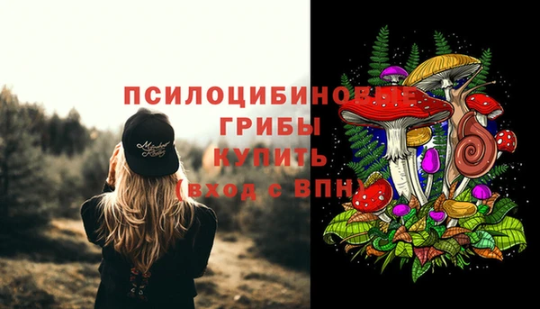 2c-b Алексин