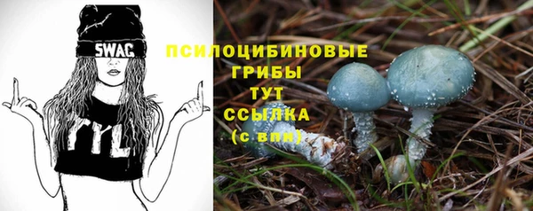 2c-b Алексин