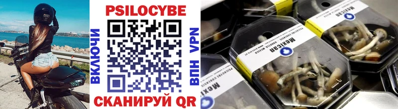 Псилоцибиновые грибы прущие грибы  Кореновск 