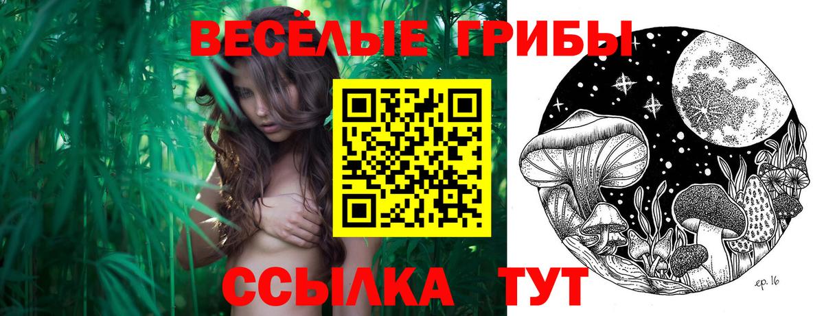 Галлюциногенные грибы мицелий  Вход с VPN  Кореновск  Псилоцибиновые грибы мухоморы 
