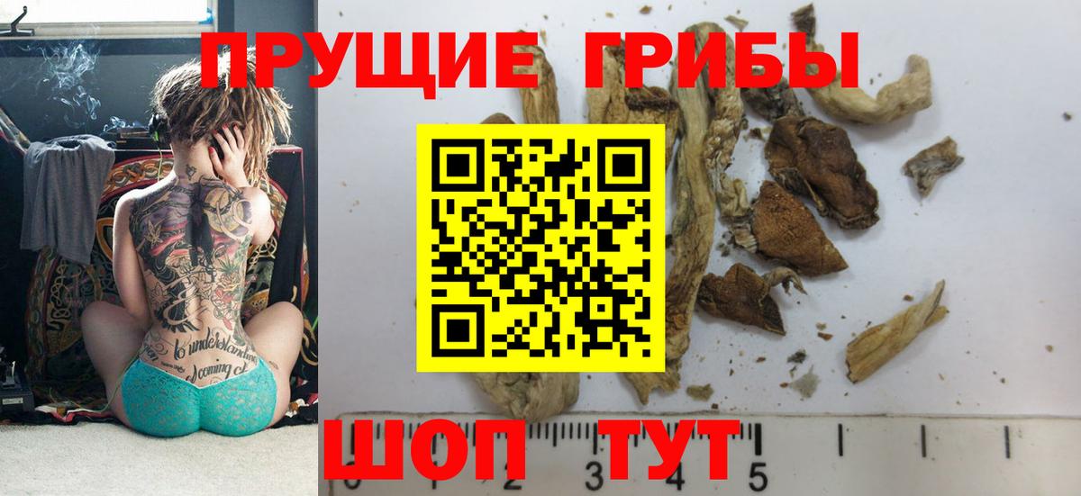 Псилоцибиновые грибы GOLDEN TEACHER Кореновск